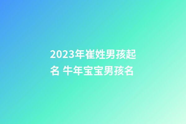 2023年崔姓男孩起名 牛年宝宝男孩名